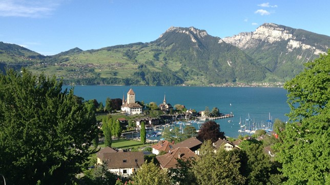 Bild1